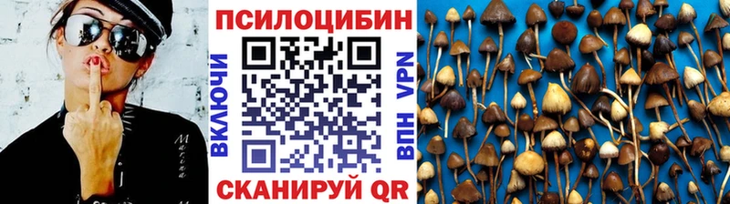 Псилоцибиновые грибы мицелий  купить наркоту  Щёлкино 